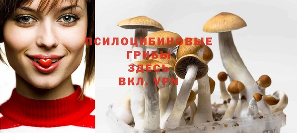 марки nbome Михайлов