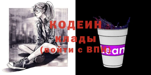 крисы Мегион