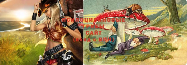 марки nbome Михайлов