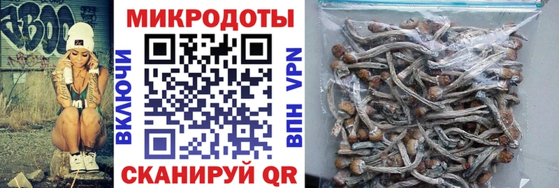 купить   Нюрба  Псилоцибиновые грибы мухоморы 